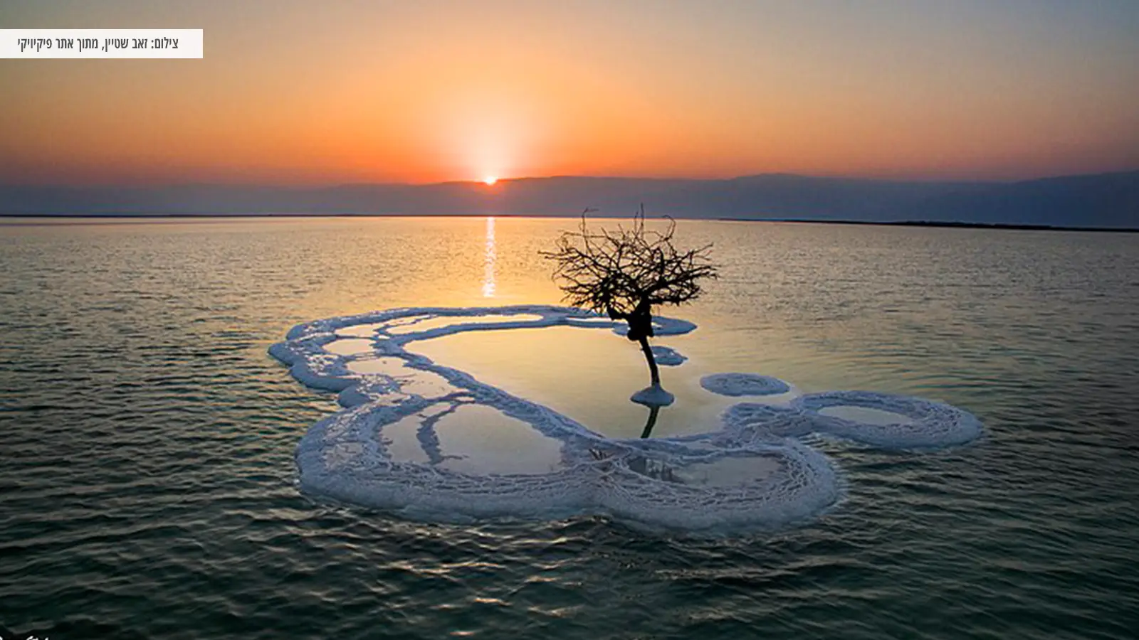 A fun day in the Dead Sea