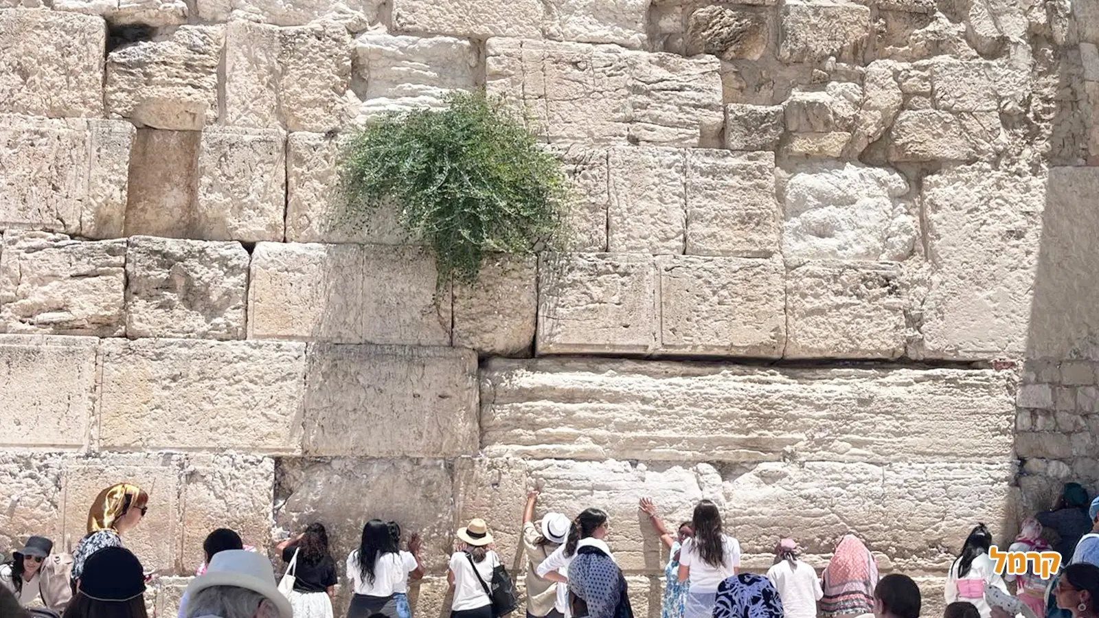 המדריך המלא לבר מצווה בכותל המדריך המלא לבר מצווה בכותל