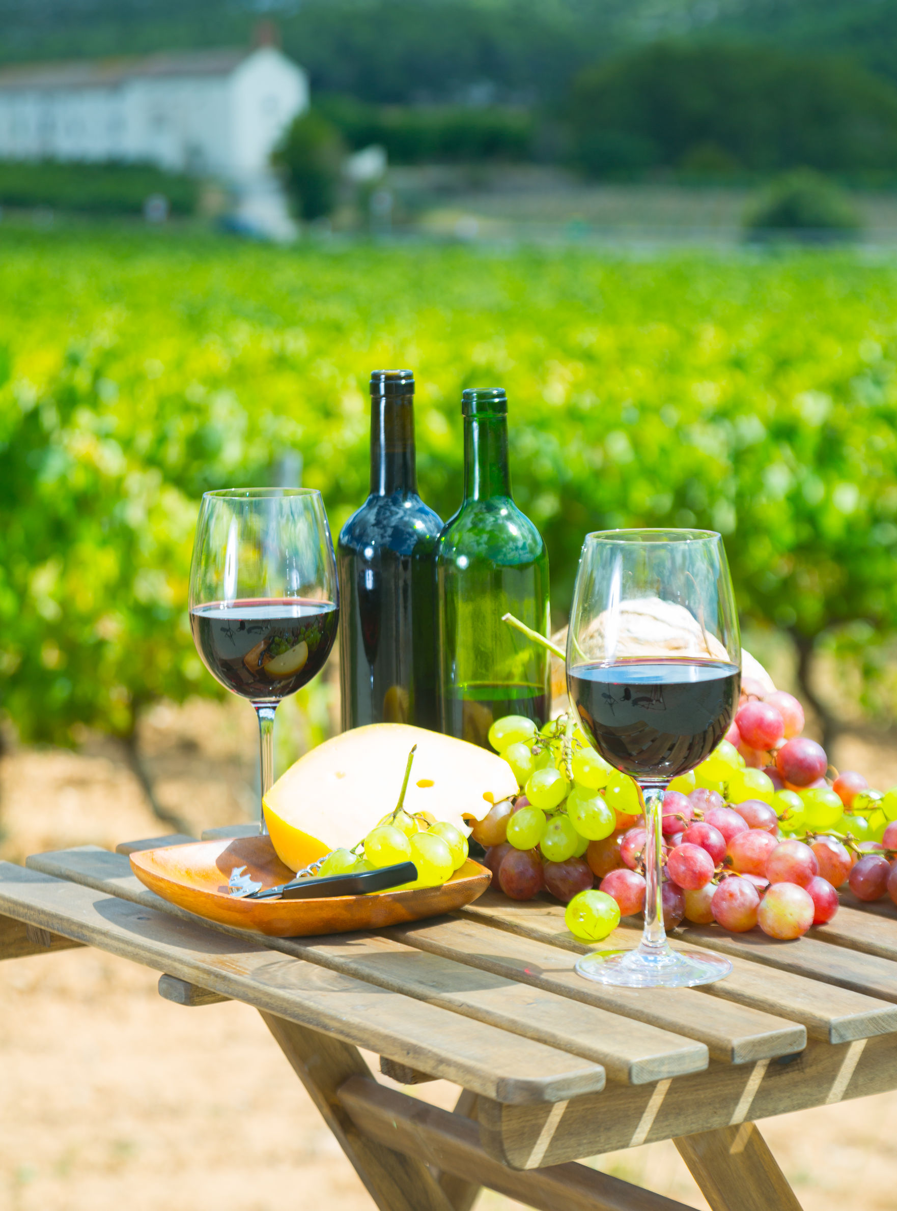 רעיונות לחגיגת ולנטיין דיי 2024  רעיונות לחגיגת ולנטיין דיי 2024