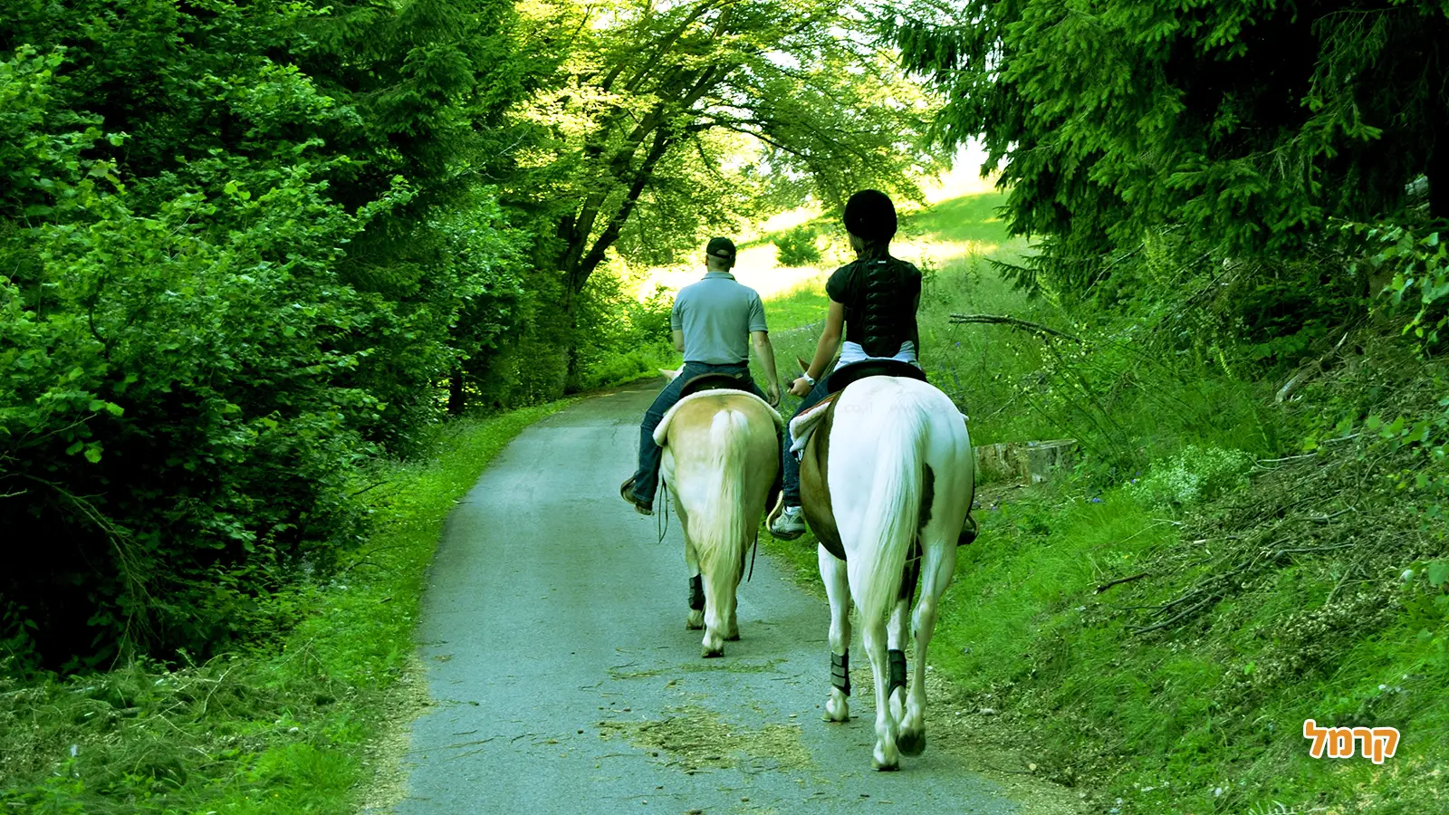 רכיבה זוגית על סוסים: חוויה רומנטית בטבע