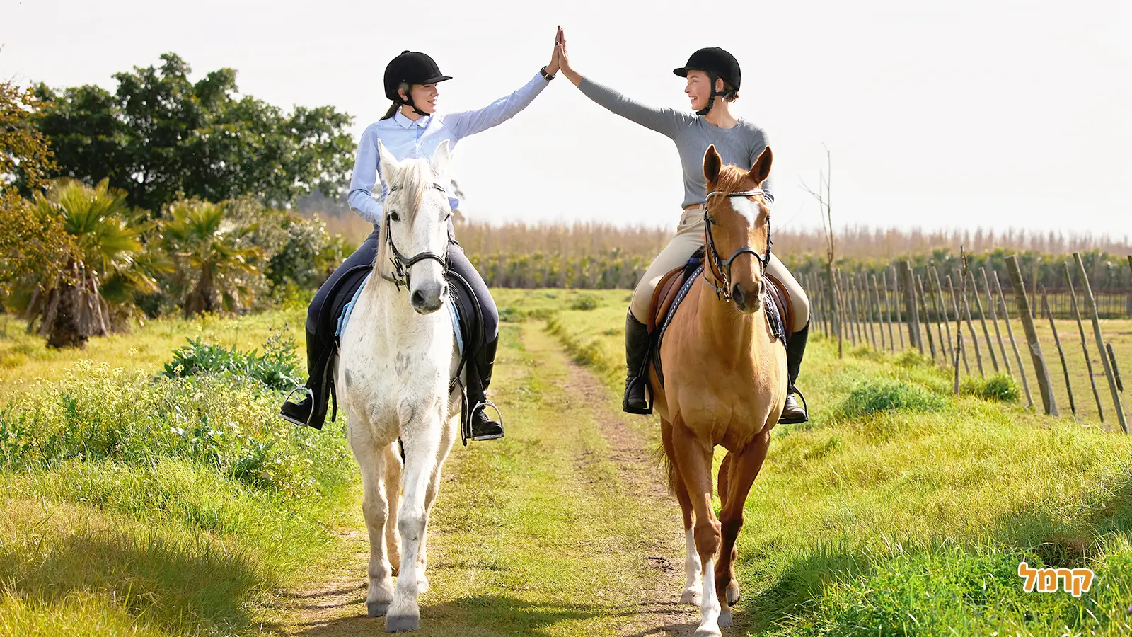 רכיבה זוגית על סוסים: חוויה רומנטית בטבע