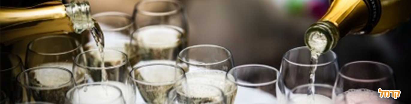 ימי הולדת בלתי נשכחים למבוגרים ימי הולדת בלתי נשכחים למבוגרים