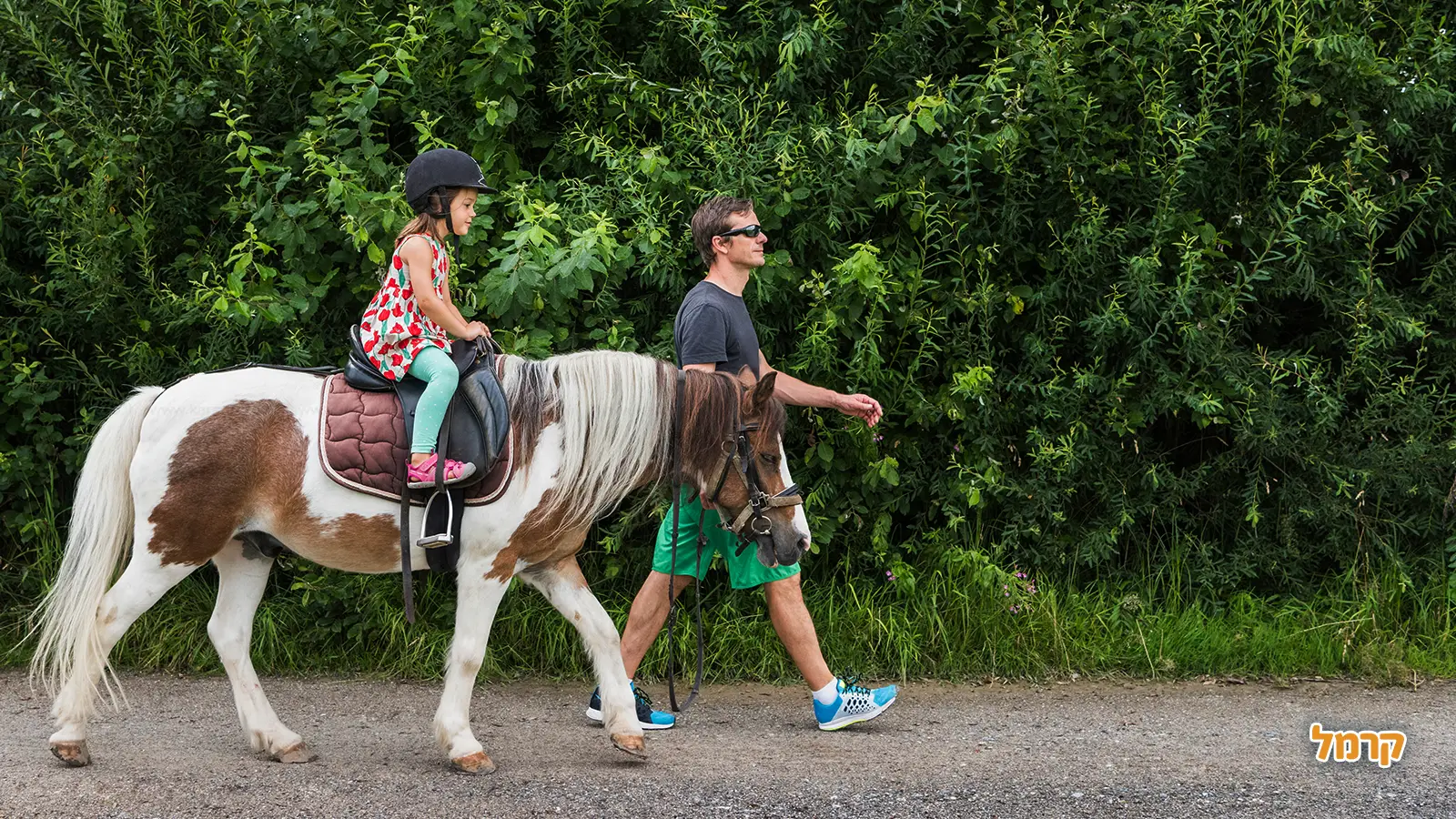 רכיבה על סוסים לילדים: חוויה מעצימה ובטוחה בחיק הטבע