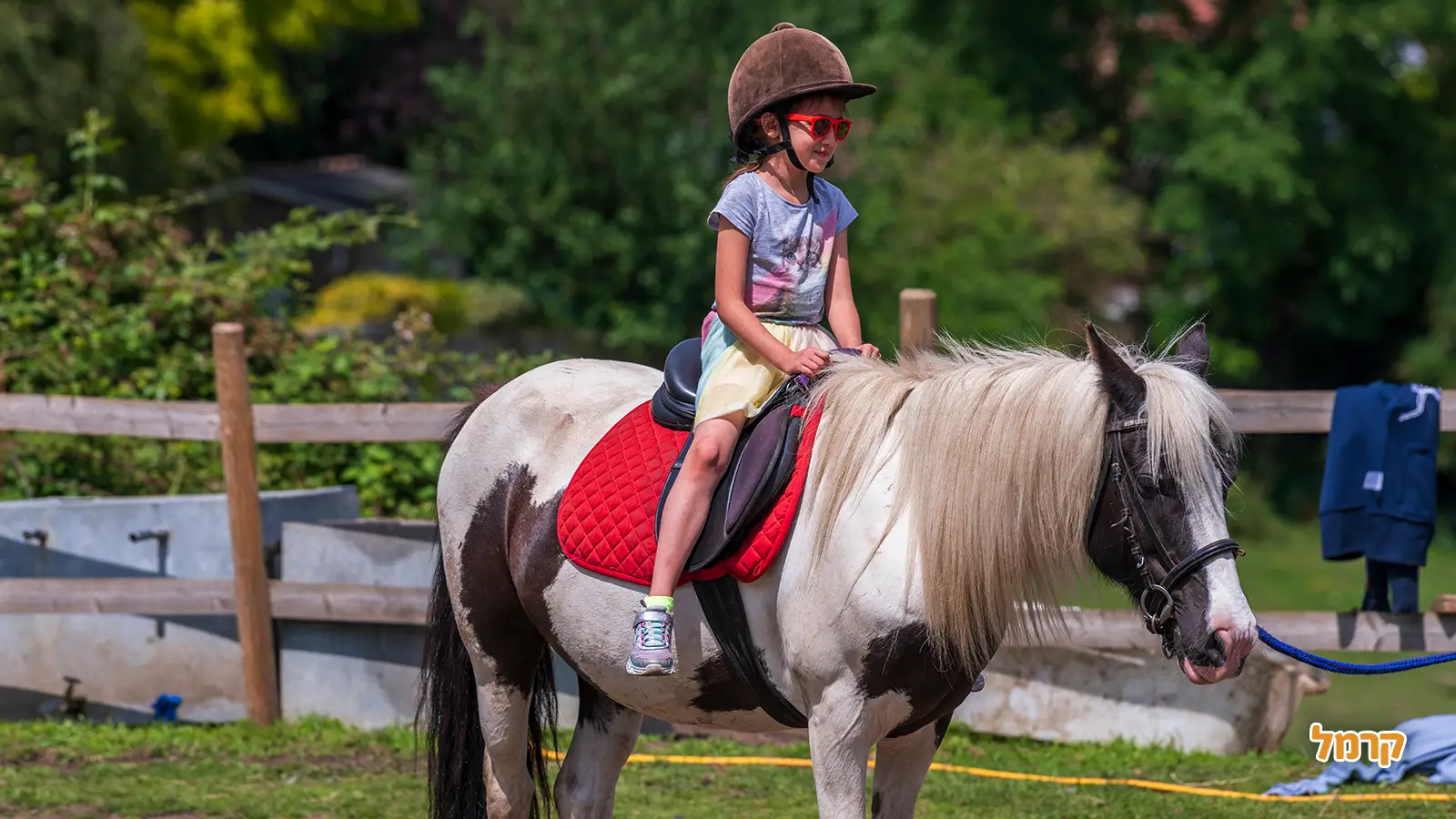 רכיבה על סוסים לילדים: חוויה מעצימה ובטוחה בחיק הטבע
