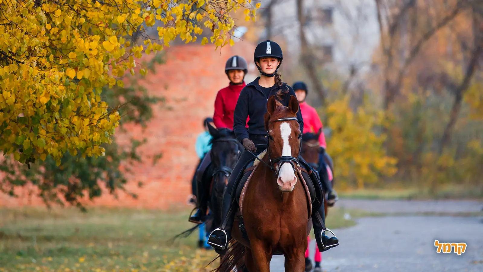 רכיבה על סוסים לילדים: חוויה מעצימה ובטוחה בחיק הטבע