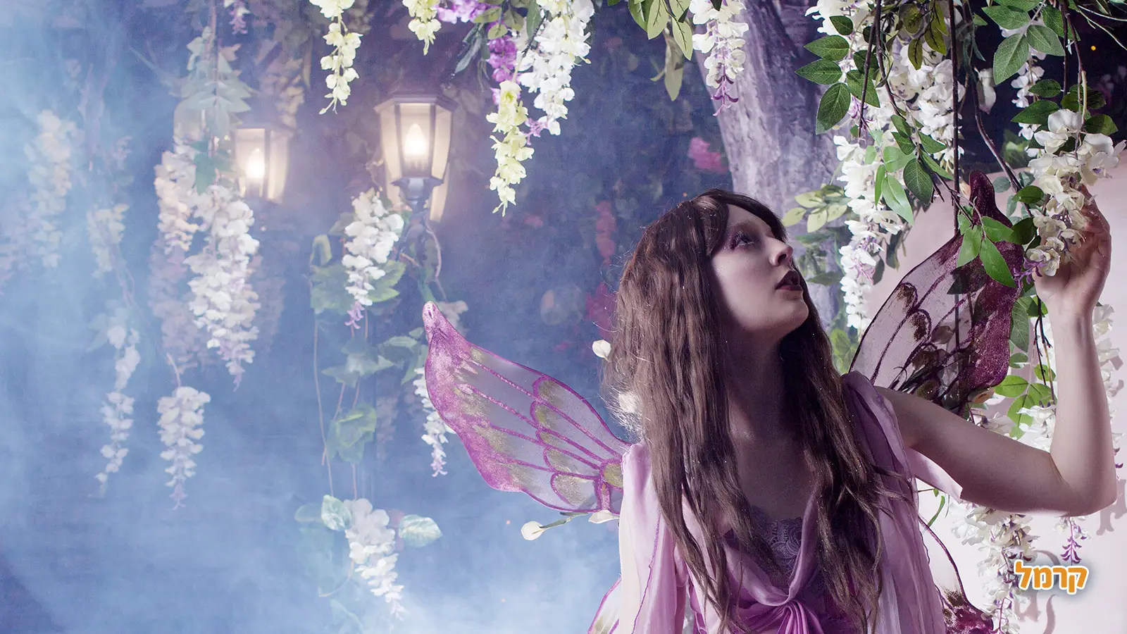 מי הן הפיות? ומה מסקרן בהן? מי הן הפיות? ומה מסקרן בהן?