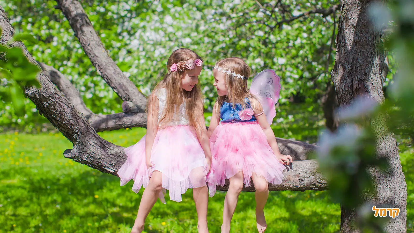 מי הן הפיות? ומה מסקרן בהן? מי הן הפיות? ומה מסקרן בהן?