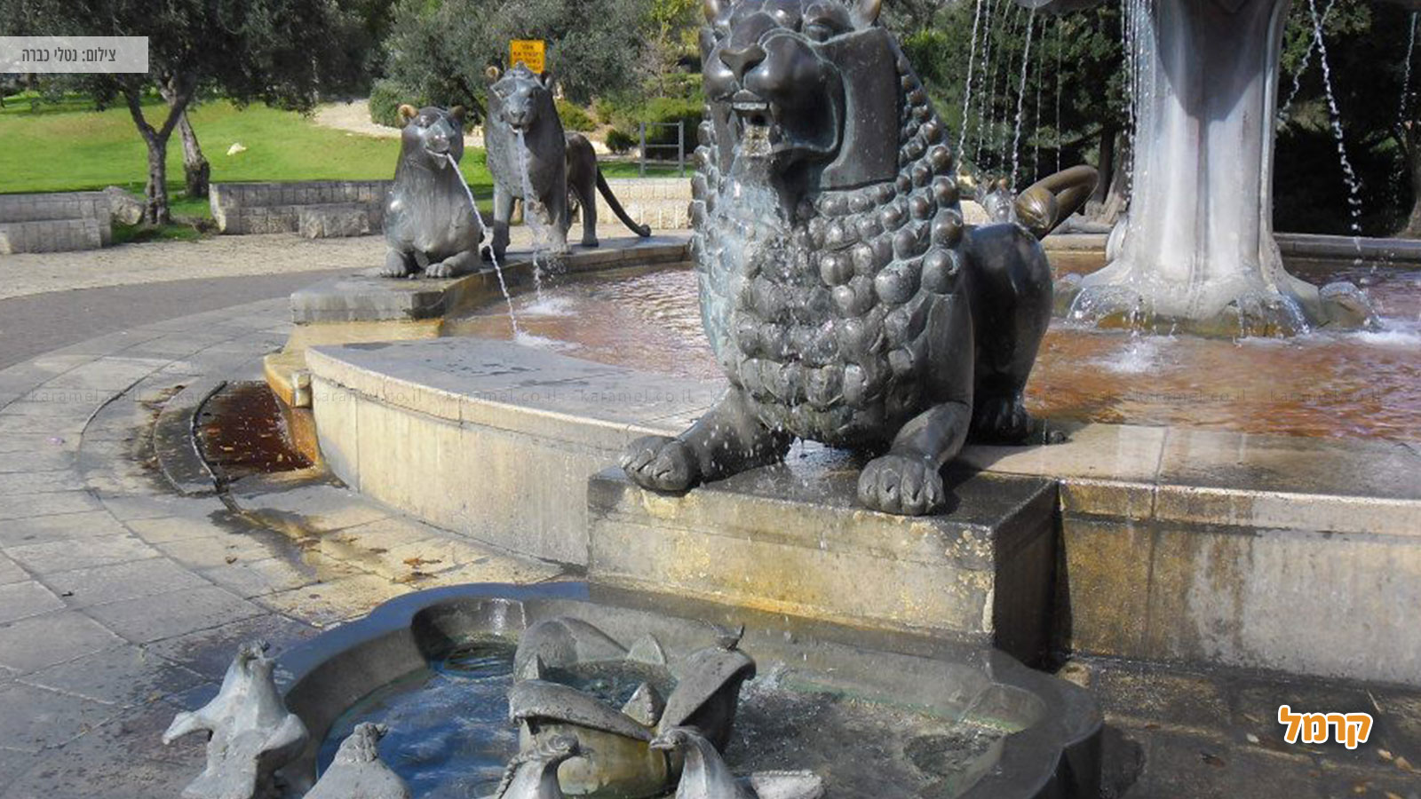 אטרקציות ואירועי פסח 2022 אטרקציות ואירועי פסח 2022