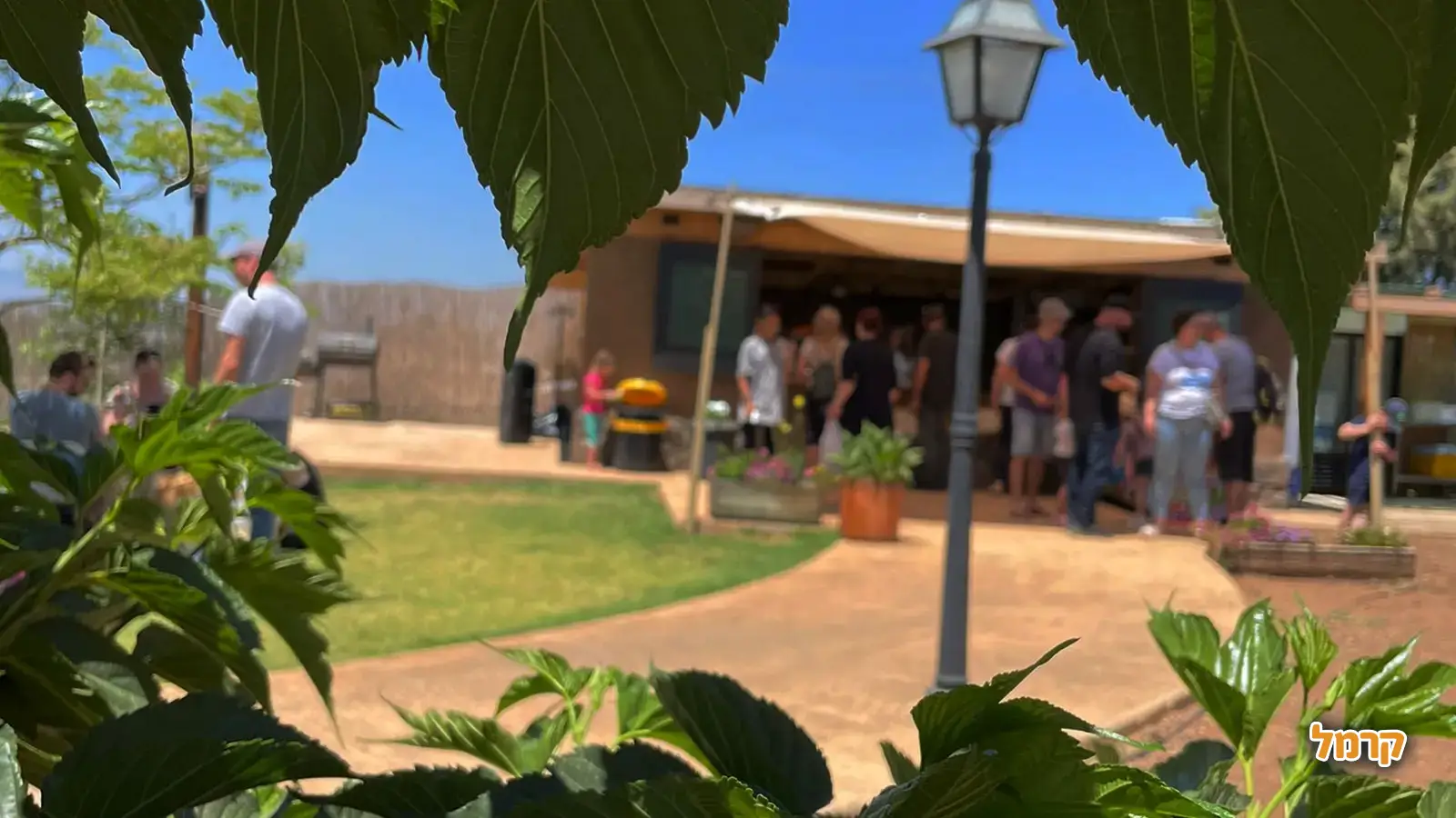 אוהבים דובדבנים? כל מה שרציתם לדעת על הקטיף, ולא שאלתם.