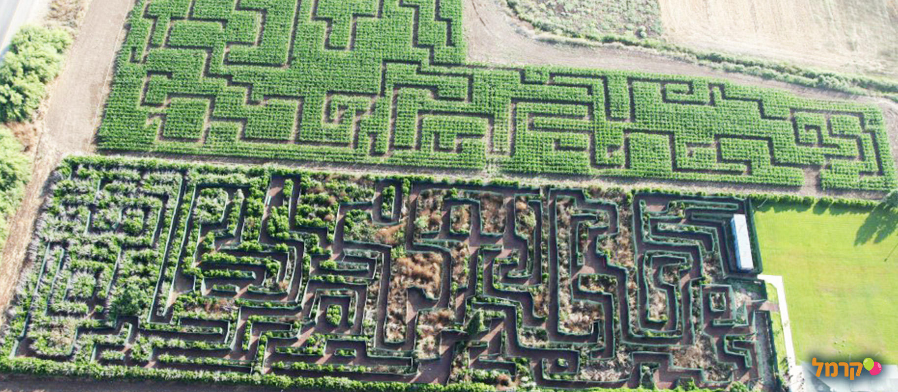 מבחר אפשרויות לבילוי של מבוגרים