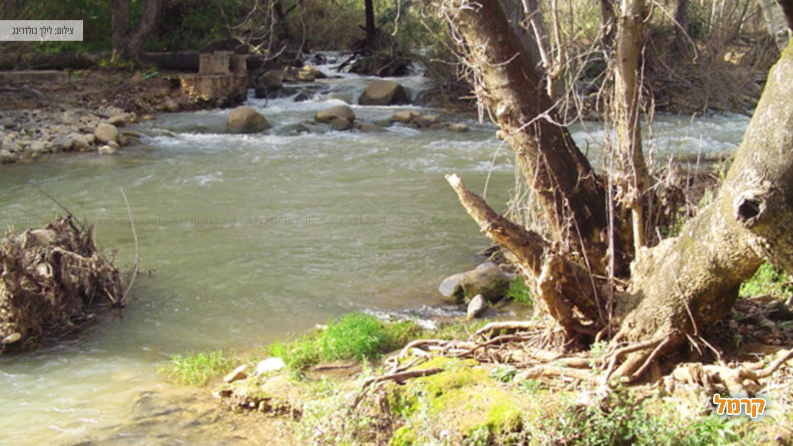 איפה מטיילים עם הילדים בחופש הגדול? איפה מטיילים עם הילדים בחופש הגדול?