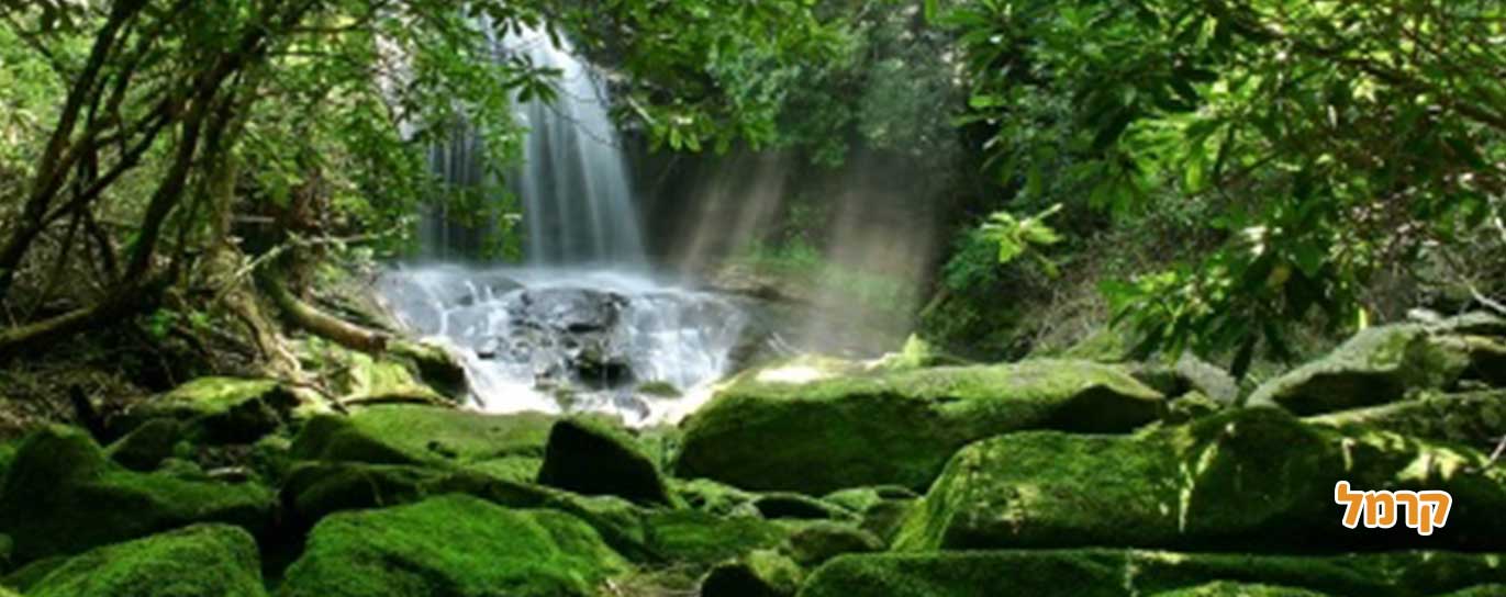 איך לחגוג בטבע מסיבת רווקות