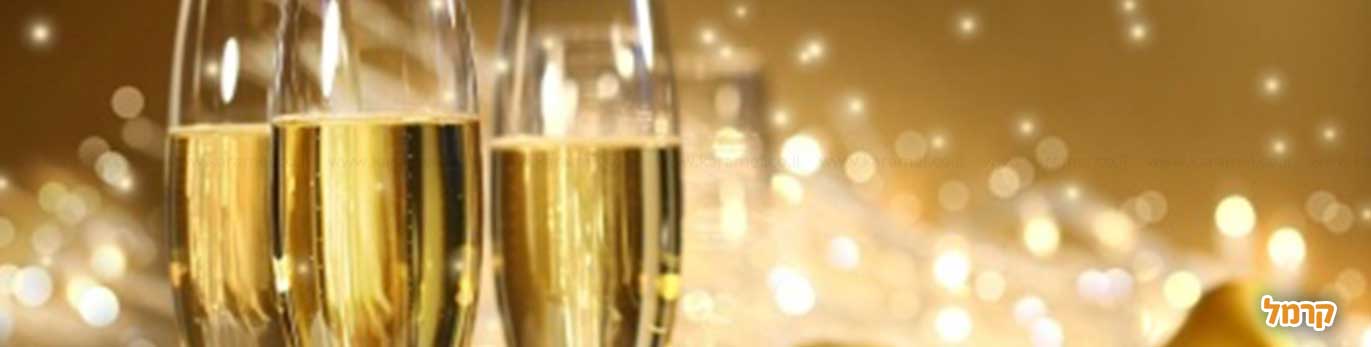 10 סגנונות למסיבת רווקות מושלמת 10 סגנונות למסיבת רווקות מושלמת