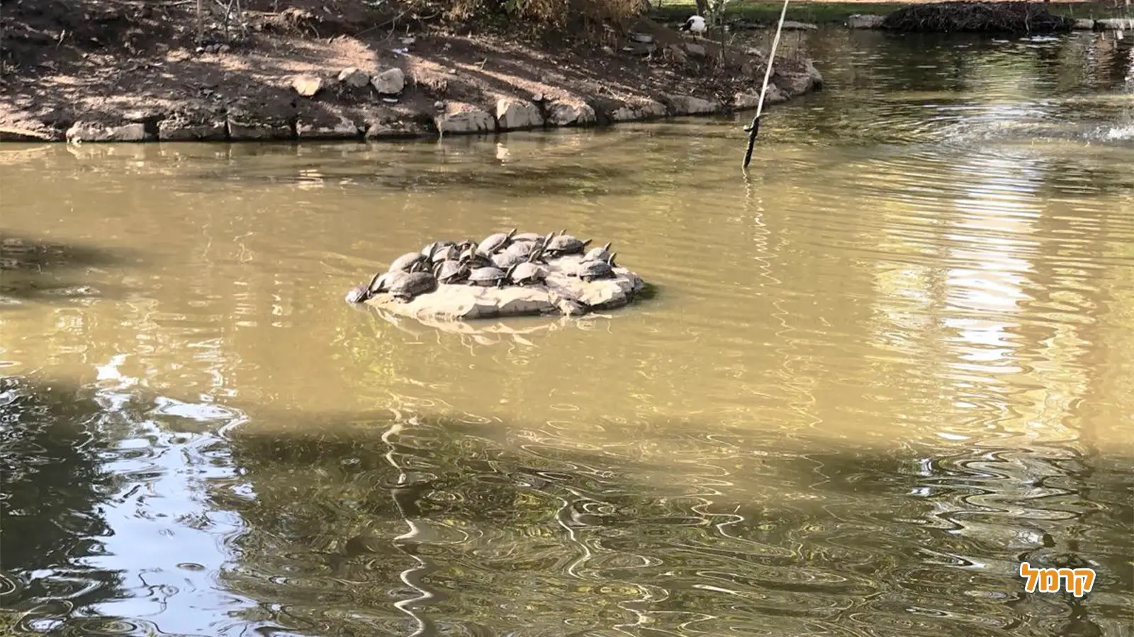 אזור אחד – אינסוף אפשרויות לטיול מושלם