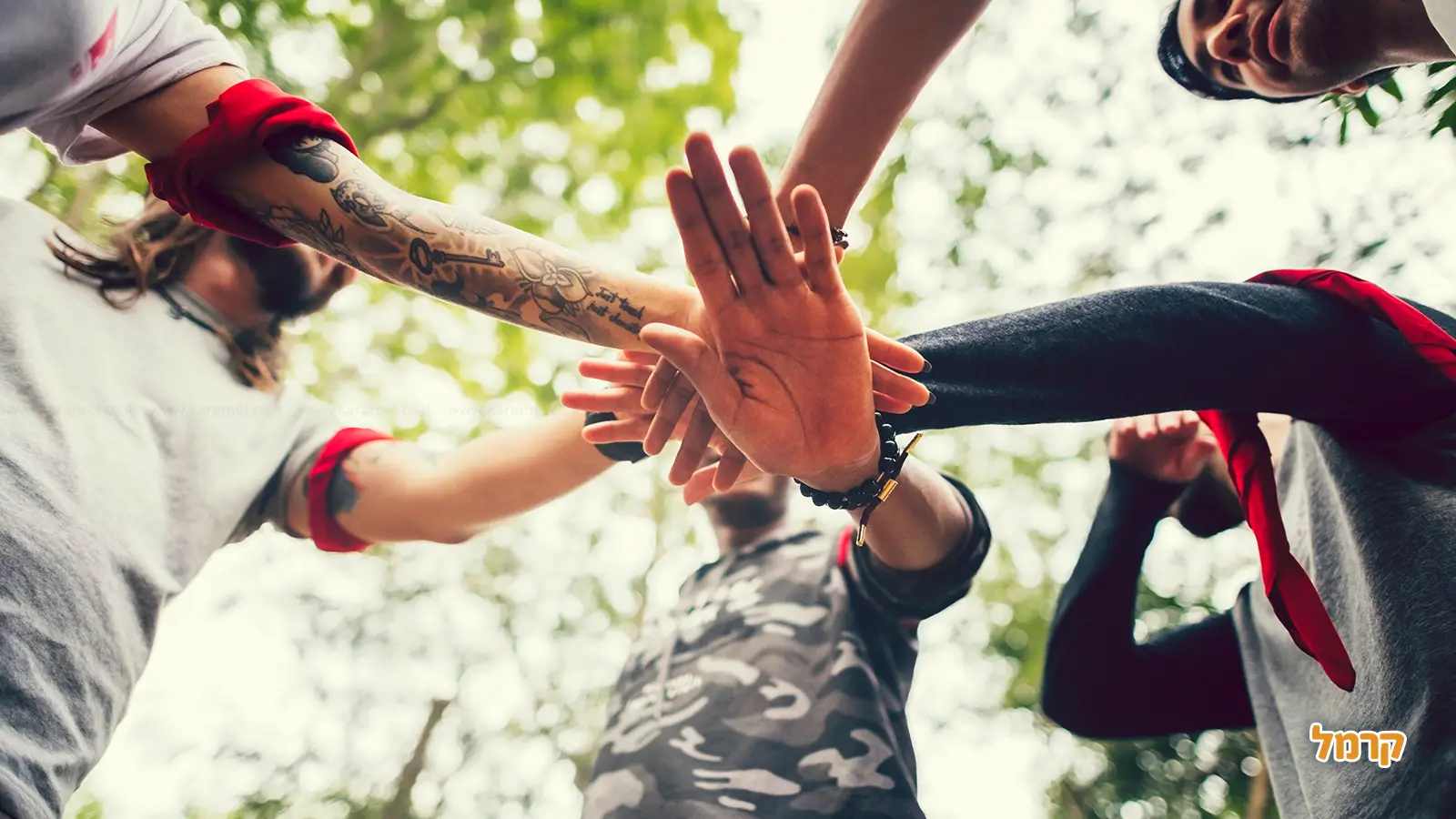 מה זה ODT? מה זה ODT?