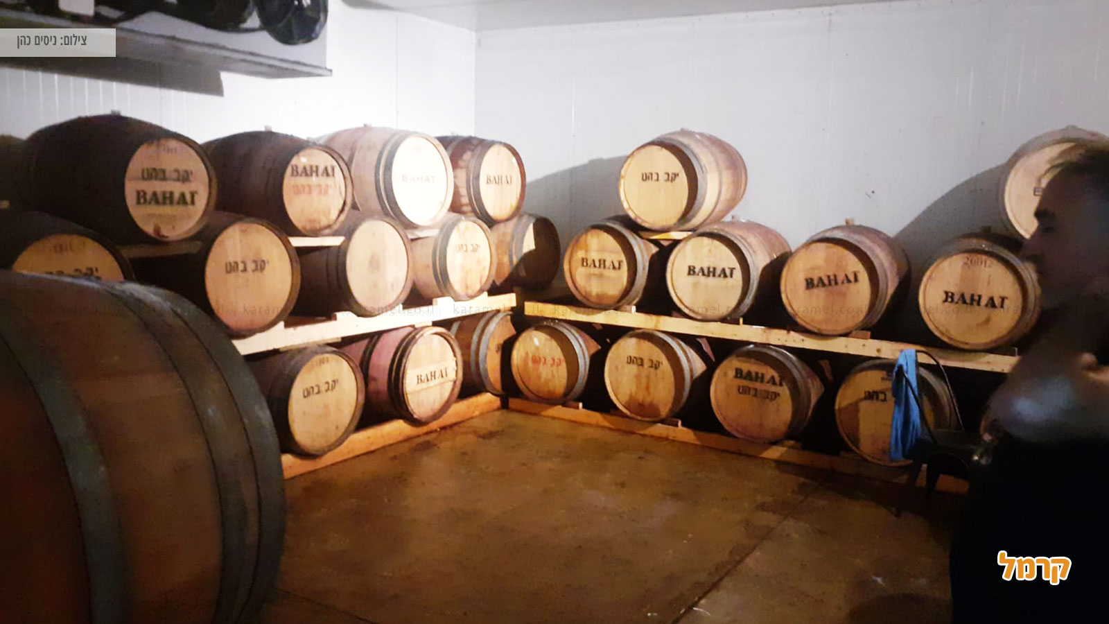 איפה מטיילים ואלו אטרקציות שוות יש בארץ ישראל?