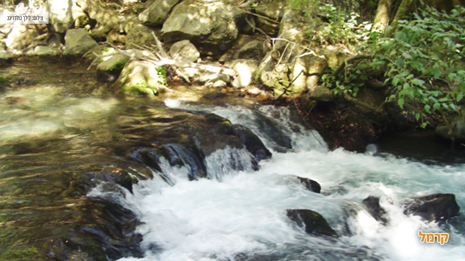 איפה מטיילים עם הילדים בחופש הגדול? איפה מטיילים עם הילדים בחופש הגדול?