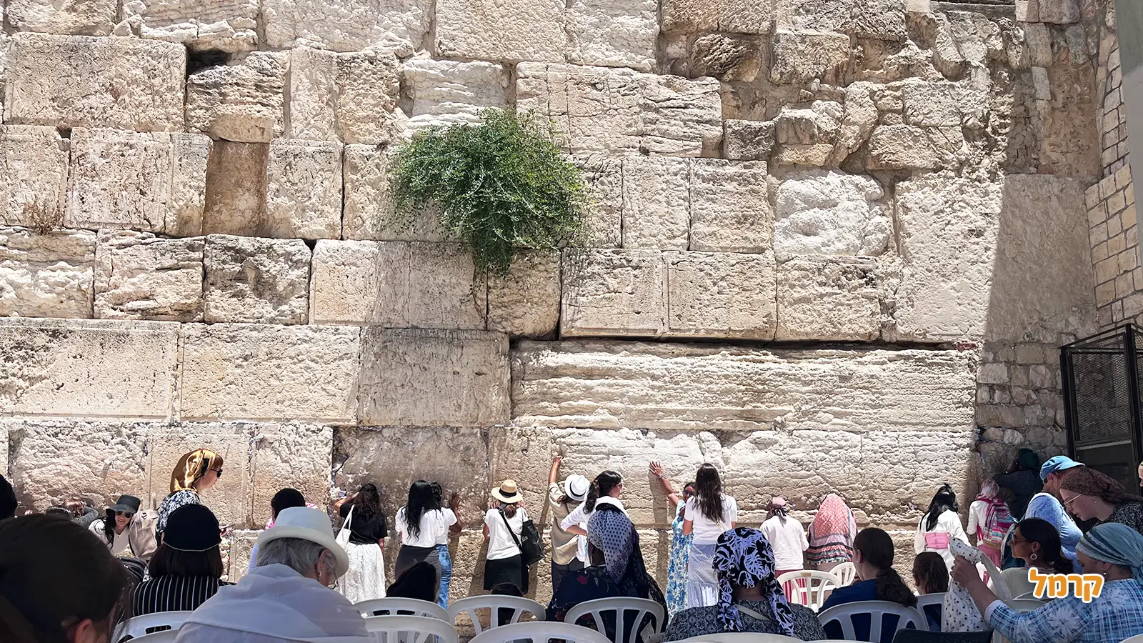 בר מצווה בכותל – חוויה מרגשת בלב ירושלים