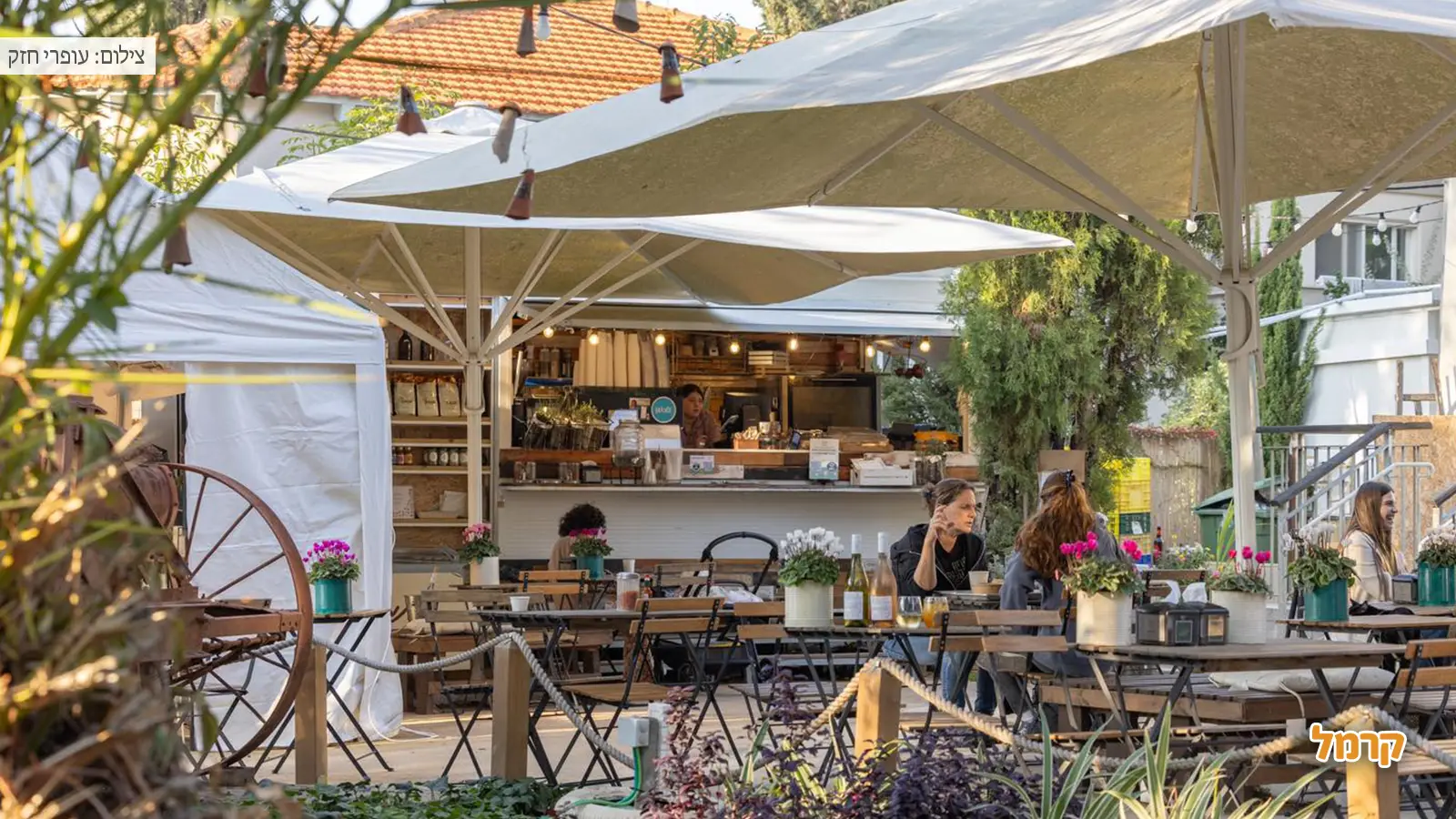 עגלות קפה בצפון