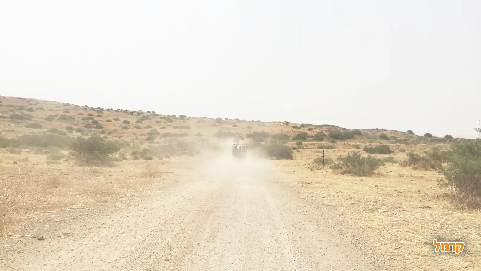 מדריך למטייל במדבר – טיפים חשובים לבטיחות ולהנאה