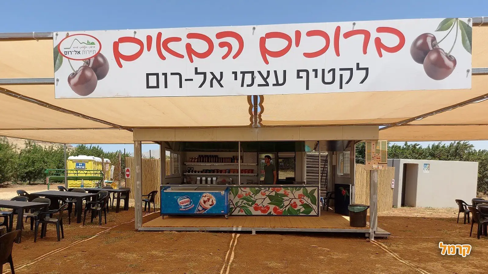אוהבים דובדבנים? כל מה שרציתם לדעת על הקטיף, ולא שאלתם.