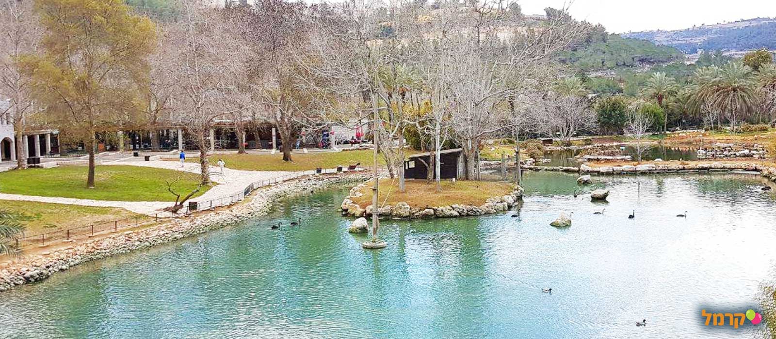 מארגנים יום גיבוש מדליק לכל המשפחה