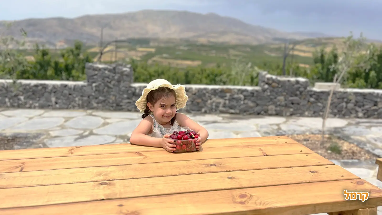 אוהבים דובדבנים? כל מה שרציתם לדעת על הקטיף, ולא שאלתם.