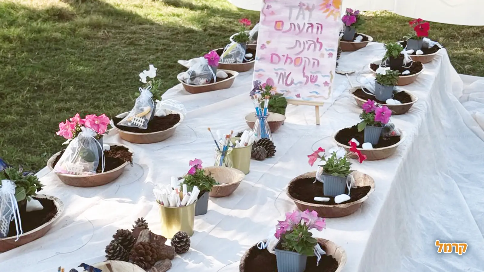 מסלולי טיול למשפחות בט"ו בשבט 2026