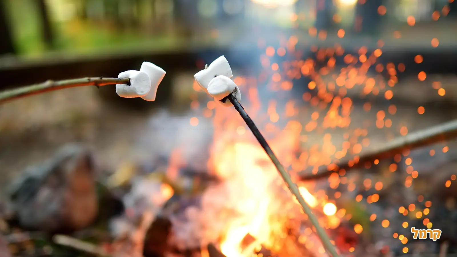 כל מה שצריך לדעת על ל"ג בעומר 2025