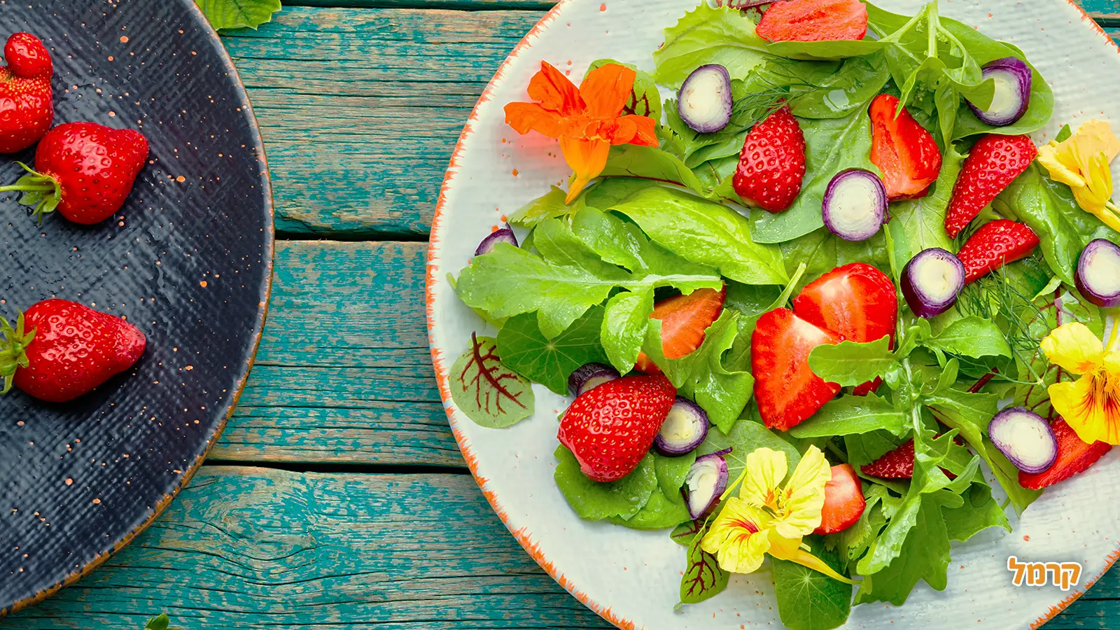 החיים שלנו תותים: 5 מתכונים שווים עם תותים