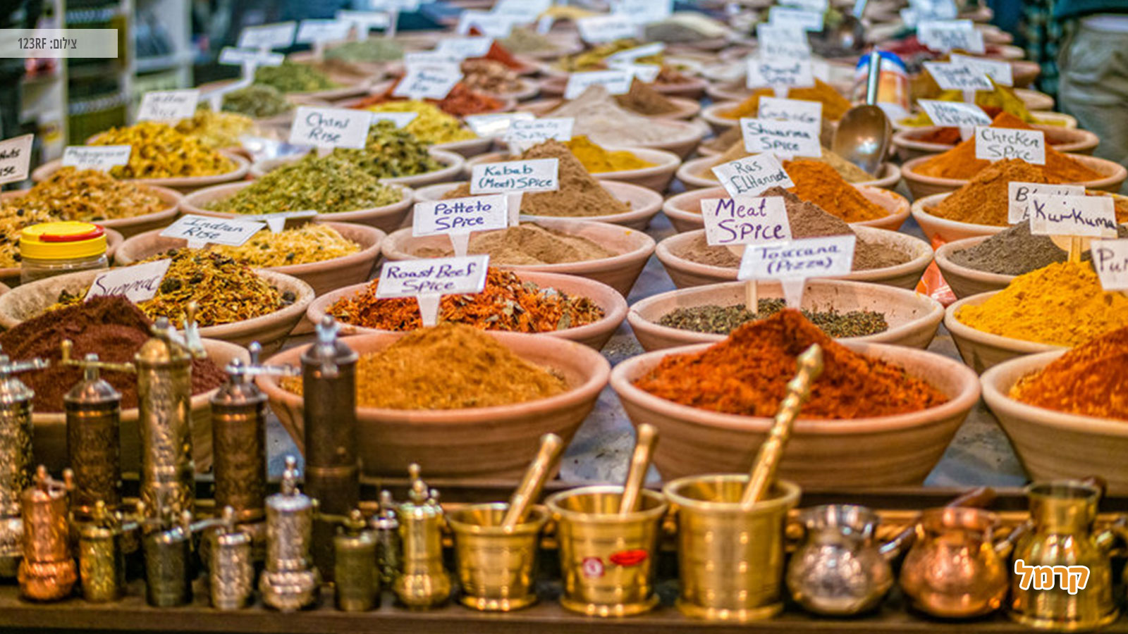 איפה מטיילים ואלו אטרקציות שוות יש בארץ ישראל?