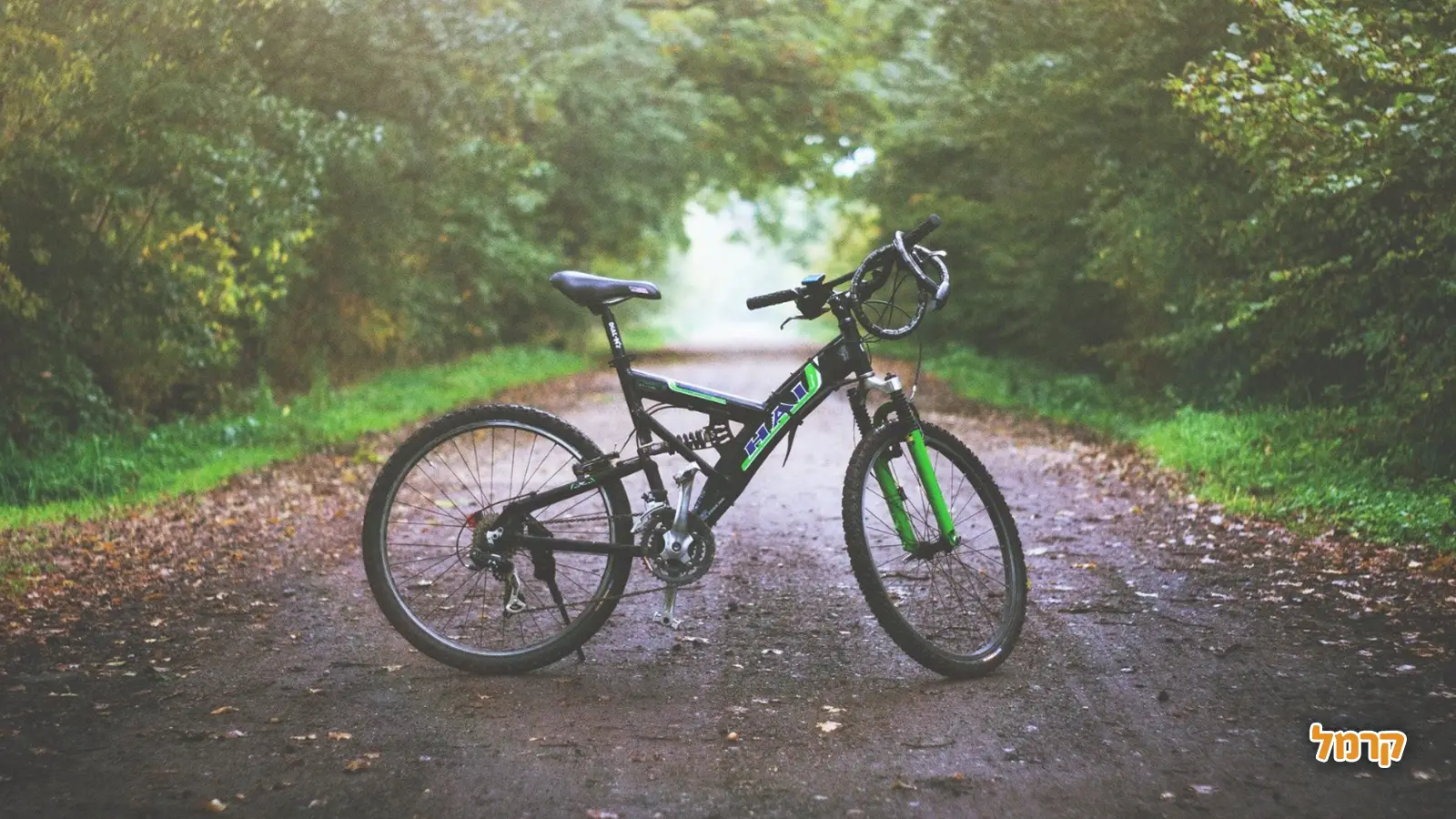 6 המסלולים הסודיים של רוכבי האופניים בישראל