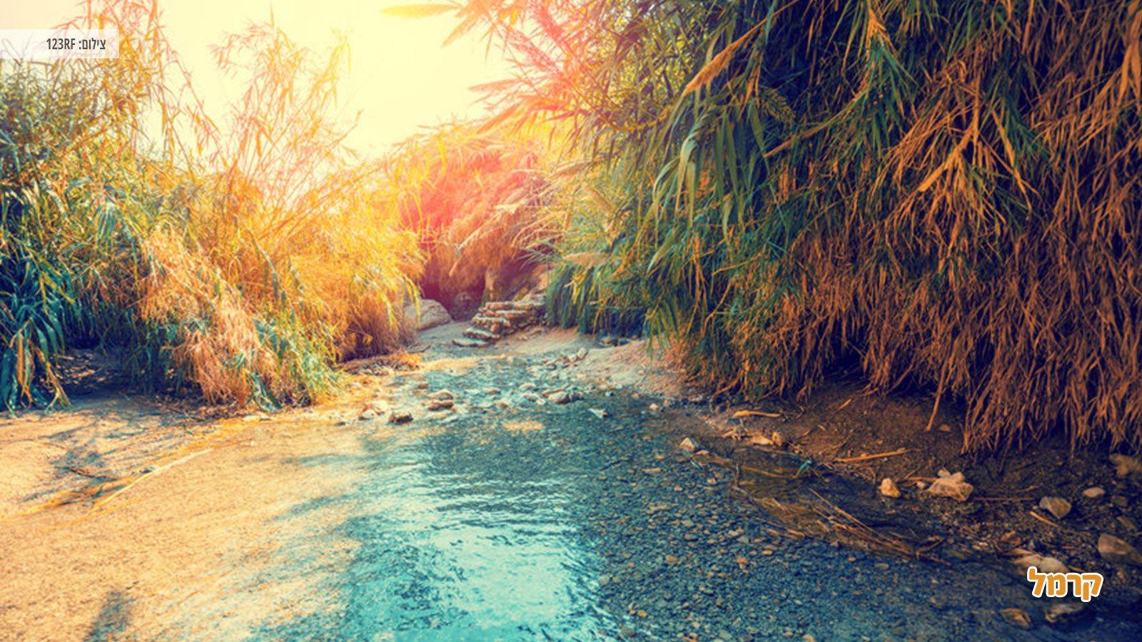 איפה מבלים בשבועות 2023 איפה מבלים בשבועות 2023