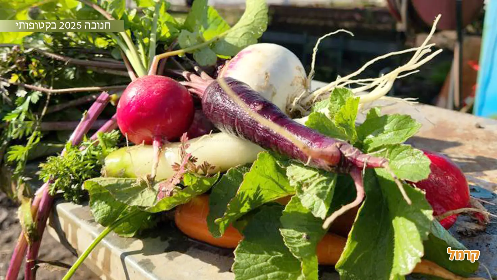 אירועי חנוכה 2025 אירועי חנוכה 2025