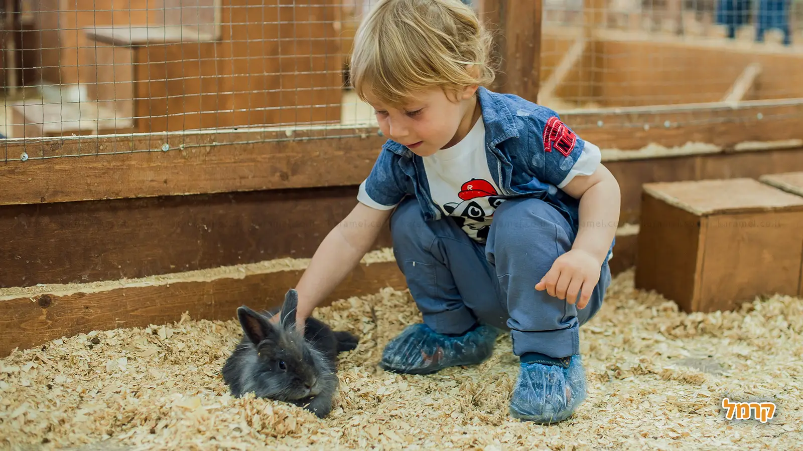 חוויה של כיף לכל המשפחה בראש השנה 2025