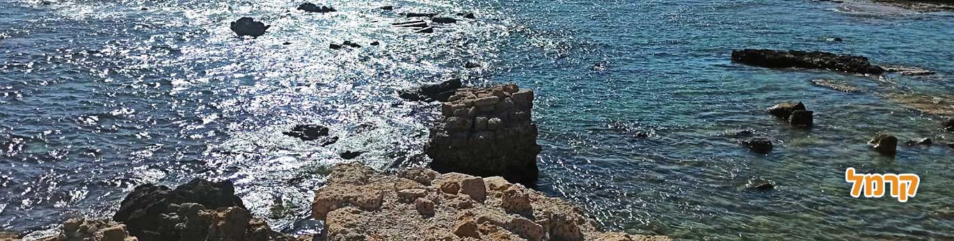 פארקים לילדים בשרון