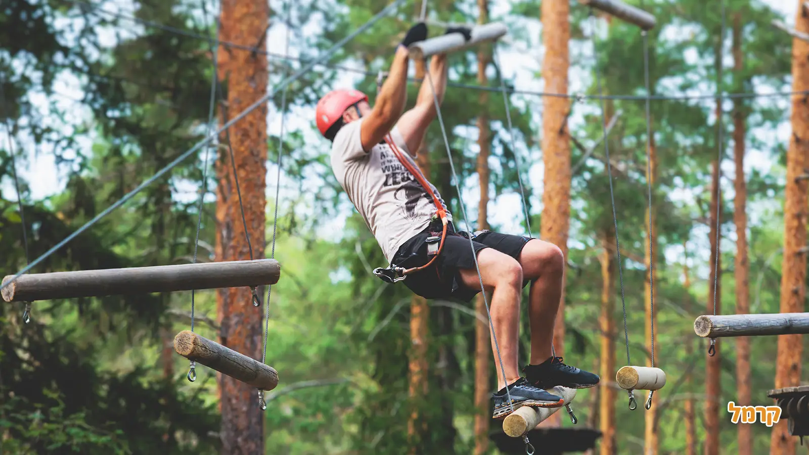 מחפשים אקשן בטבע? פארק חבלים לכל המשפחה מחפשים אקשן בטבע? פארק חבלים לכל המשפחה