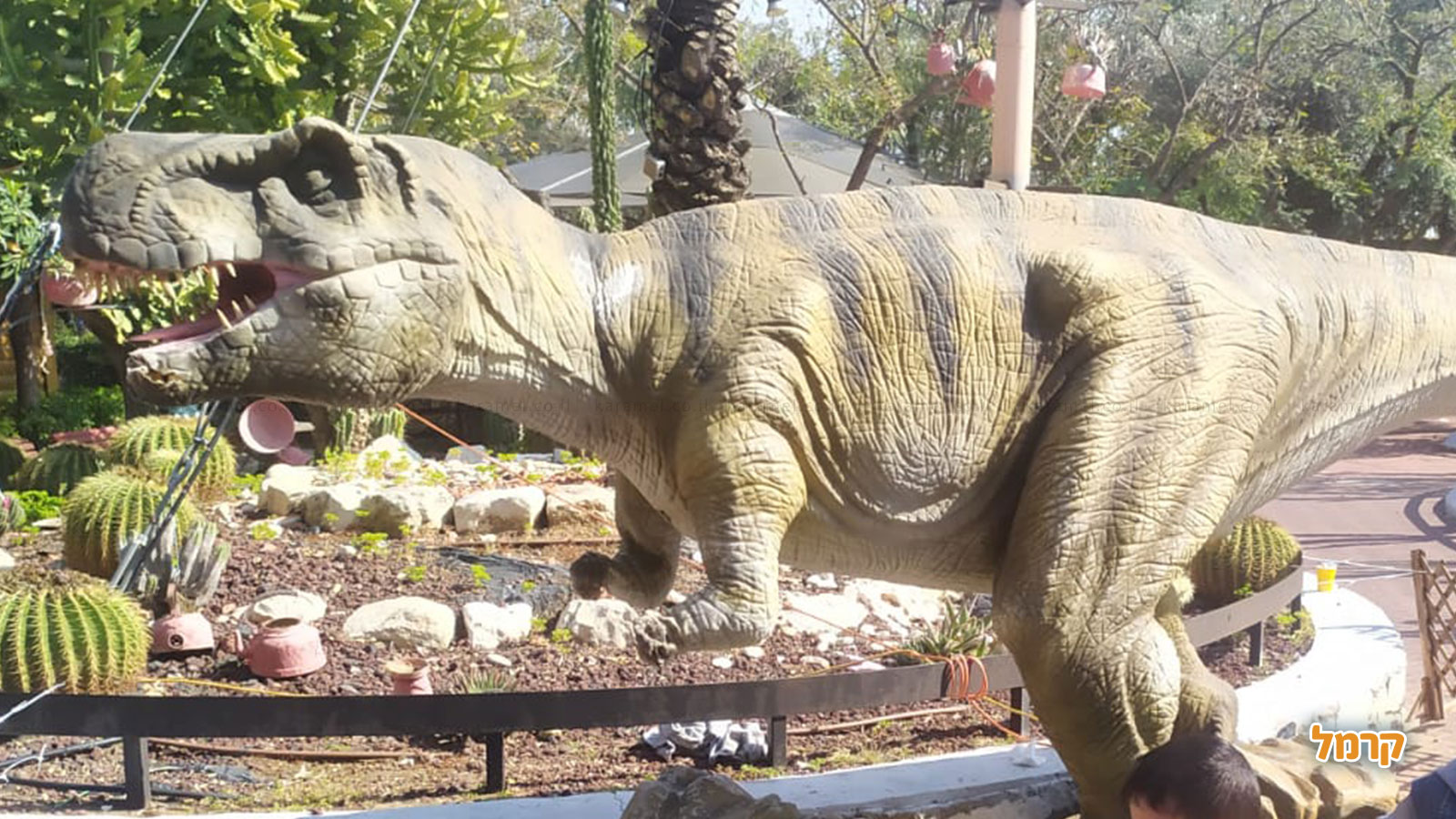 5 האטרקציות המומלצות בצפון לבילוי עם הילדים 5 האטרקציות המומלצות בצפון לבילוי עם הילדים