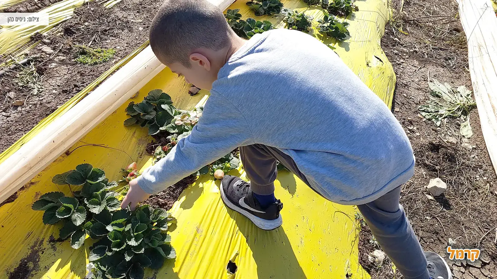 פסח 2025 : אטרקציות למשפחות פסח 2025 : אטרקציות למשפחות