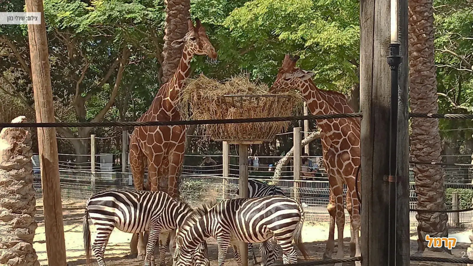 פסח 2025 : אטרקציות למשפחות פסח 2025 : אטרקציות למשפחות