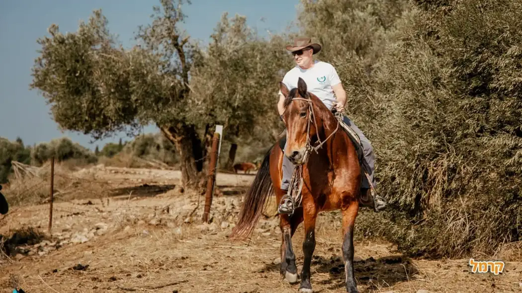 רכיבה על סוסים באזור הצפון: חווית רכיבה לכל הגילאים רכיבה על סוסים באזור הצפון: חווית רכיבה לכל הגילאים