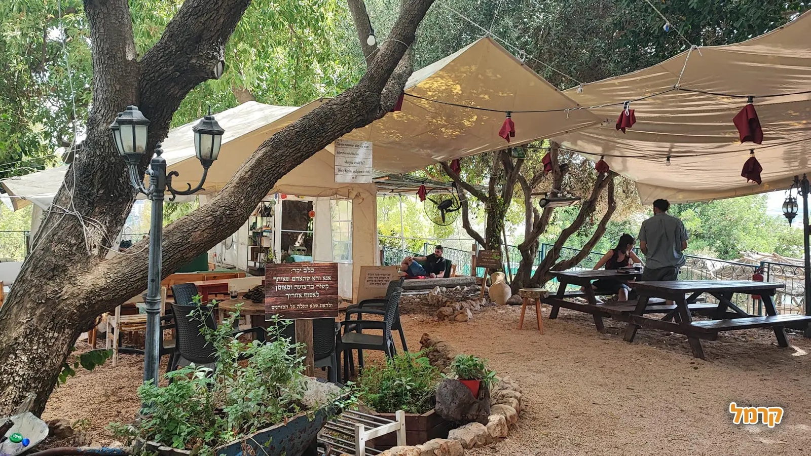 עגלות קפה בצפון