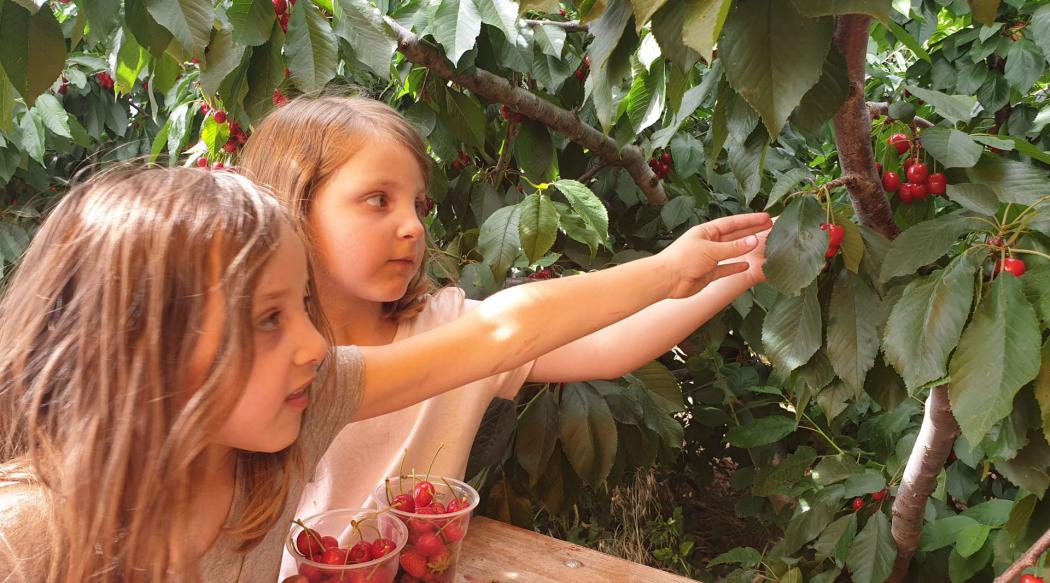 מה תעשו בחג ראש השנה 2023? מה תעשו בחג ראש השנה 2023?