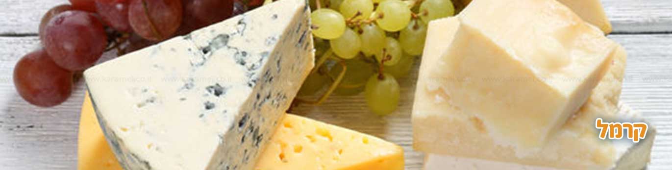 לוח חופשות משרד החינוך 2025 תשפ"ה