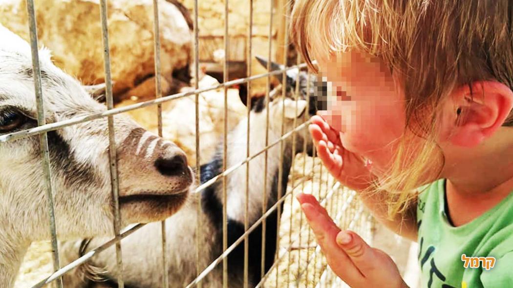 איפה תטיילו בסוכות 2023 עם כל המשפחה? איפה תטיילו בסוכות 2023 עם כל המשפחה?