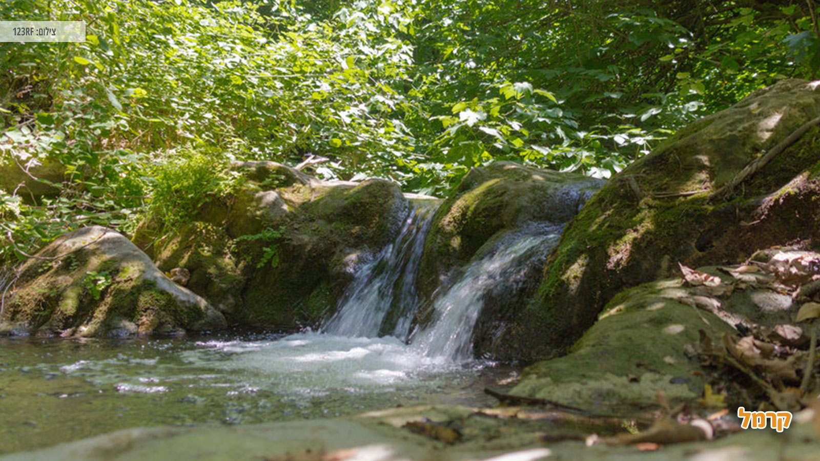 איפה תטיילו בסוכות 2023 עם כל המשפחה? איפה תטיילו בסוכות 2023 עם כל המשפחה?