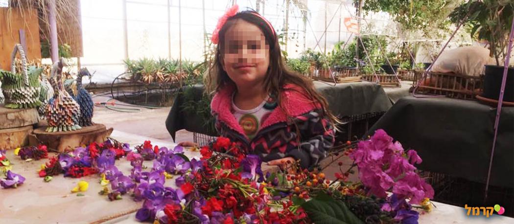 איפה תטיילו בסוכות 2023 עם כל המשפחה? איפה תטיילו בסוכות 2023 עם כל המשפחה?