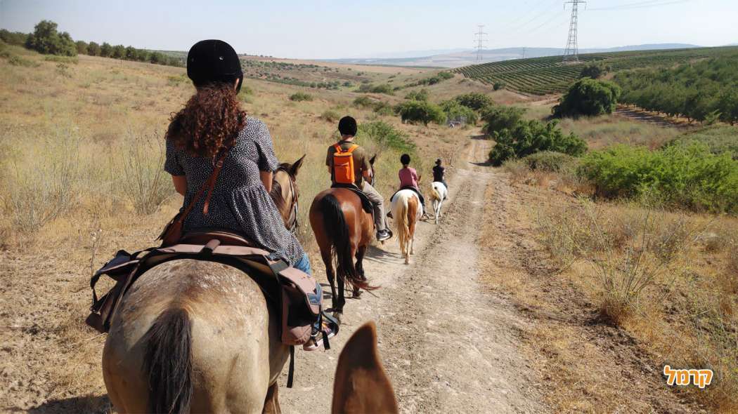 רכיבה על סוסים באזור הצפון: חווית רכיבה לכל הגילאים רכיבה על סוסים באזור הצפון: חווית רכיבה לכל הגילאים