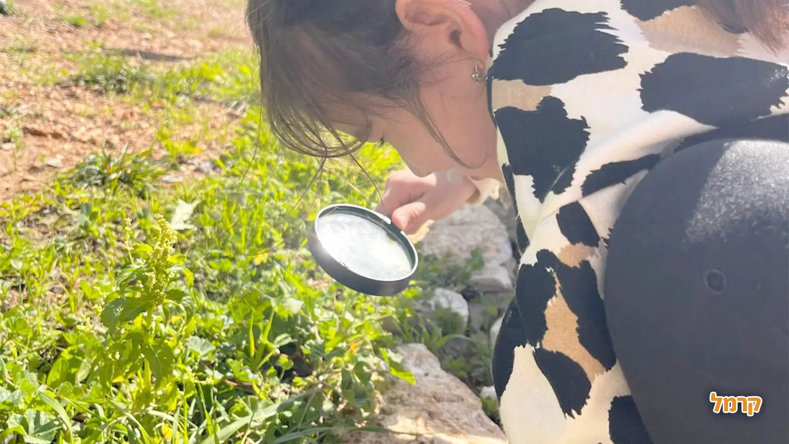 משהו עמוק קורה בט״ו בשבט, ורובנו מפספסים אותו!