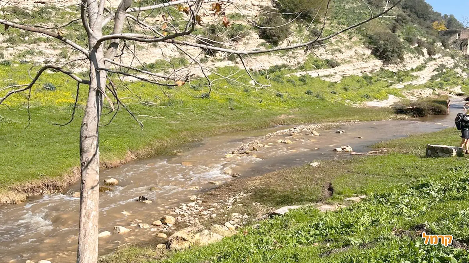 משהו עמוק קורה בט״ו בשבט, ורובנו מפספסים אותו!